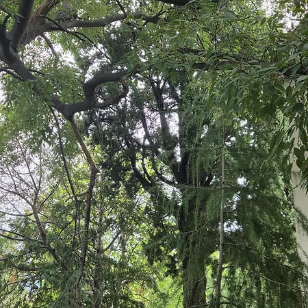 Old Town Oasis 莫斯塔尔