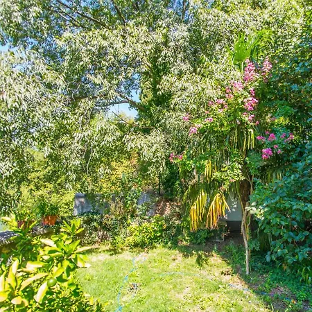 Old Town Oasis Mostar